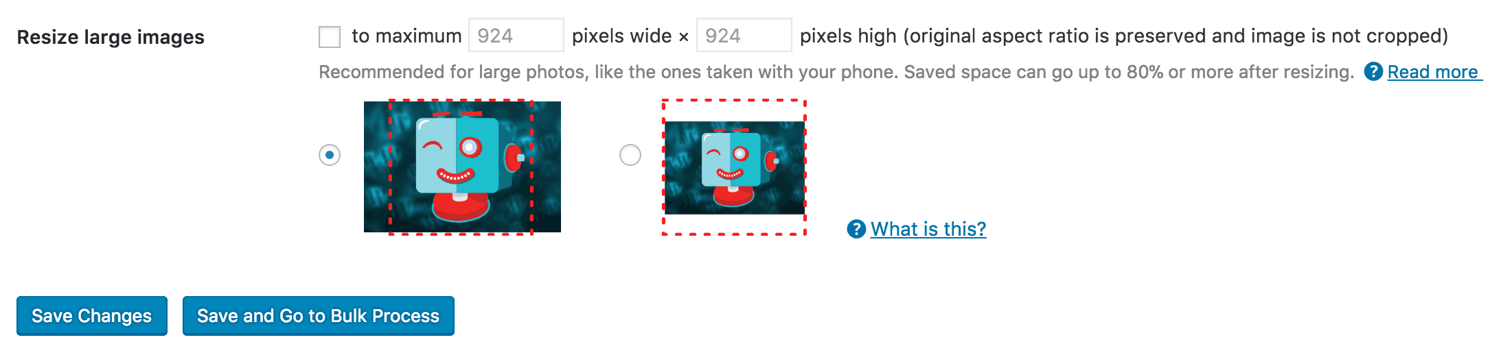Options for automatically resizing images.