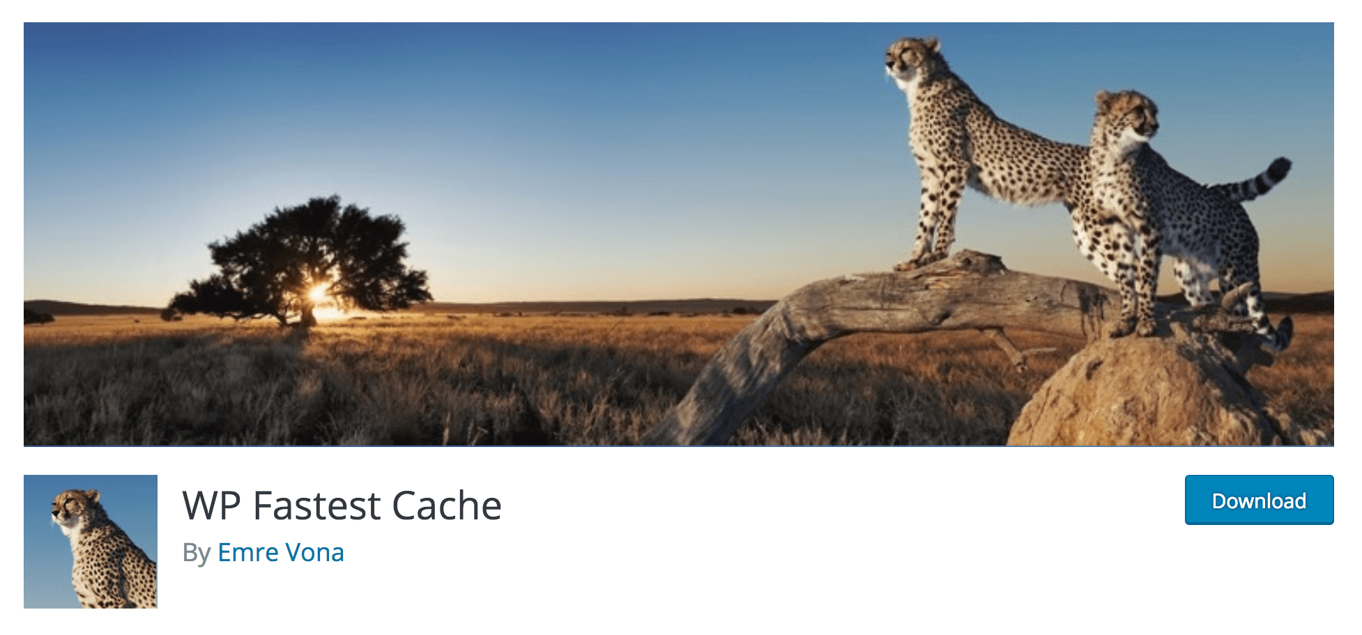 The WP Fastest Cache plugin.