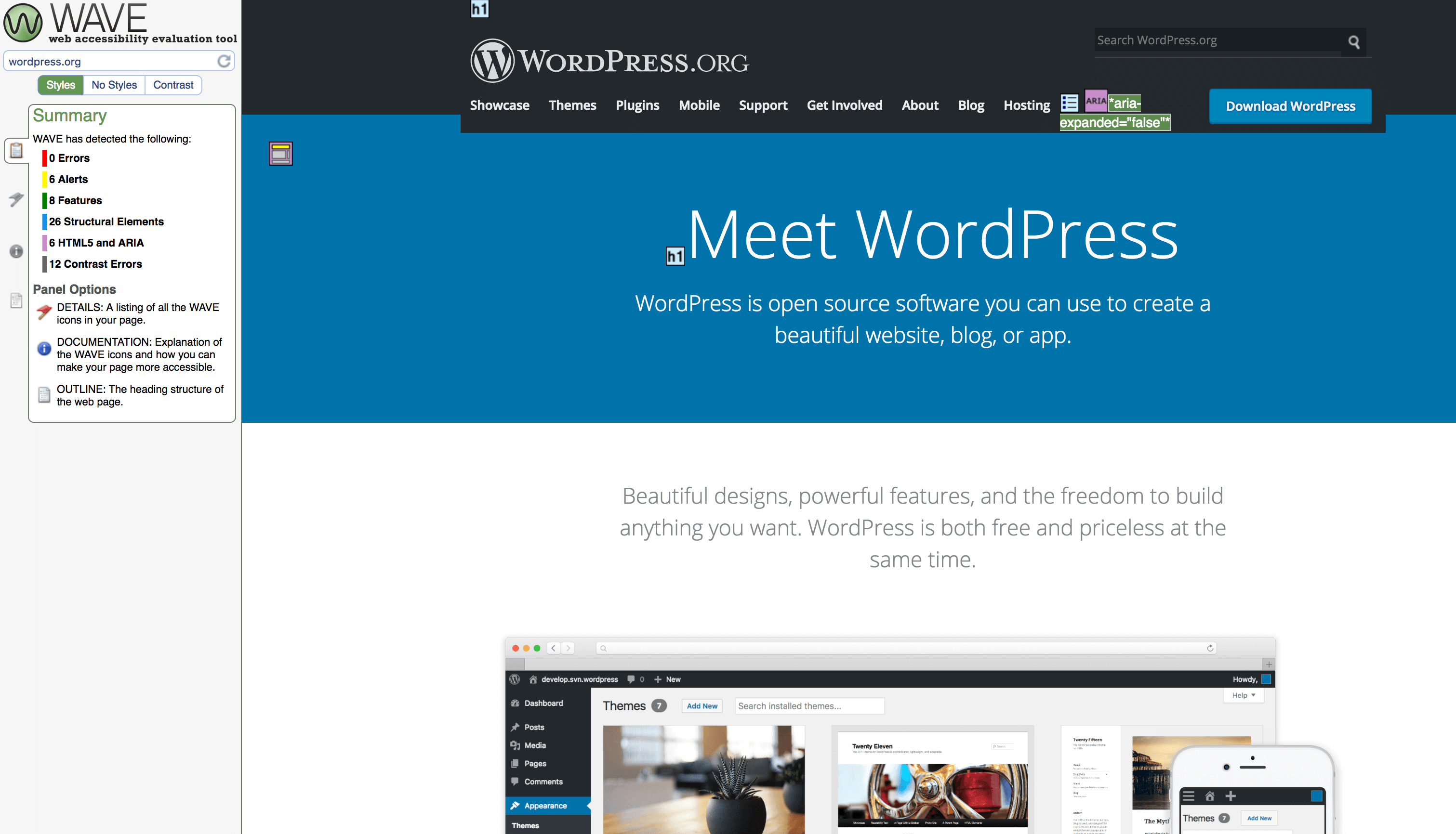 Testing WordPress.org with the WAVE tool.