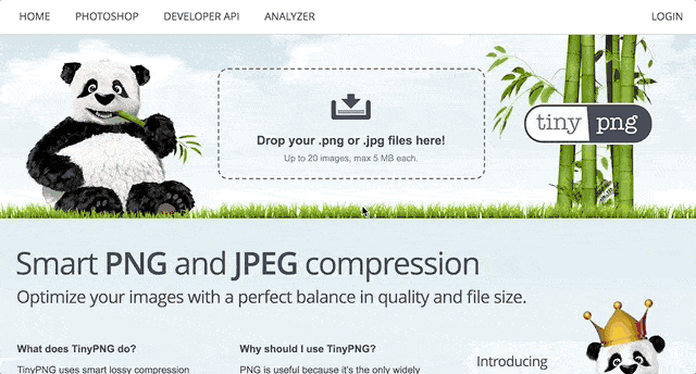 Using TinyPNG to optimize an image.